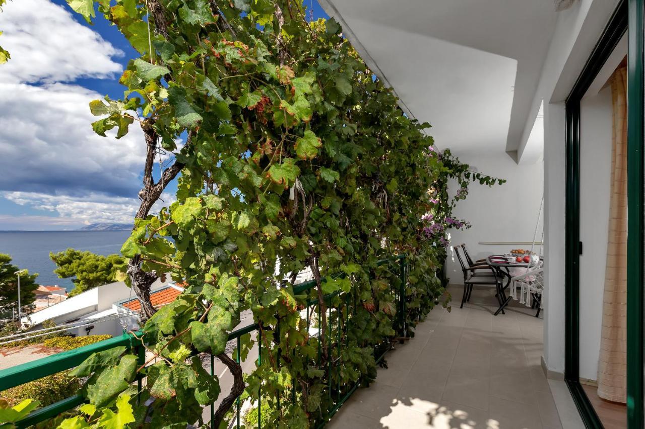 Apartmani Antonela Drasnice Dış mekan fotoğraf